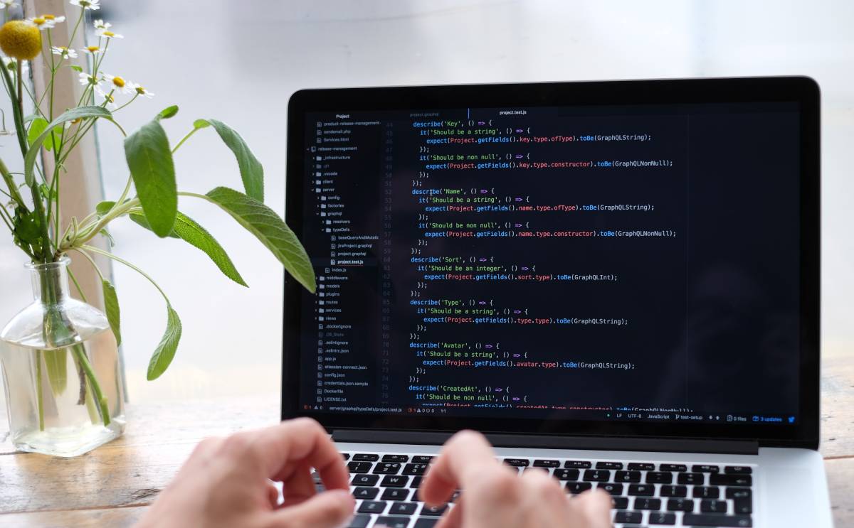 Web development